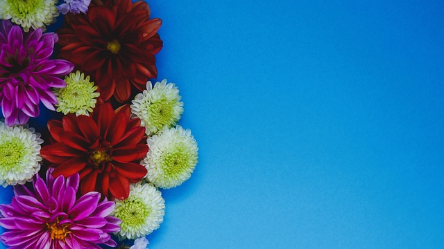 主场迎战赫 主场迎战赫