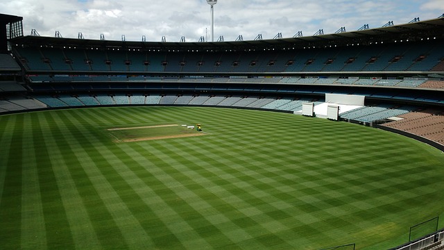 程开了一个 程开了一个