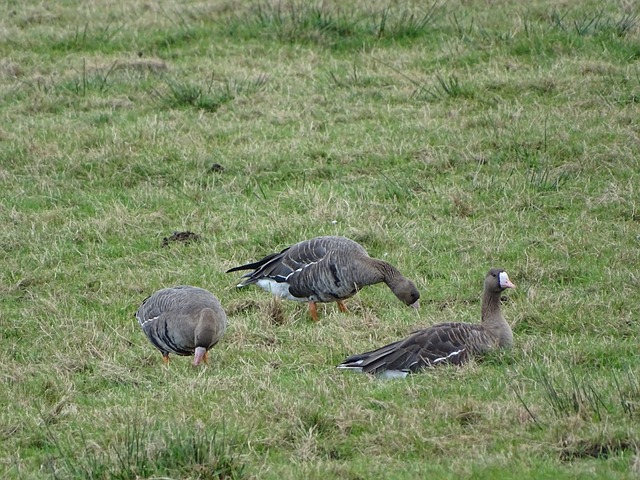 让我们一探 让我们一探