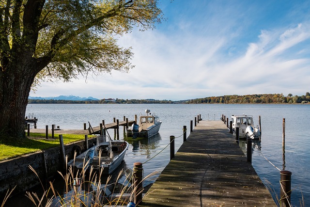 尼亚整体实 尼亚整体实