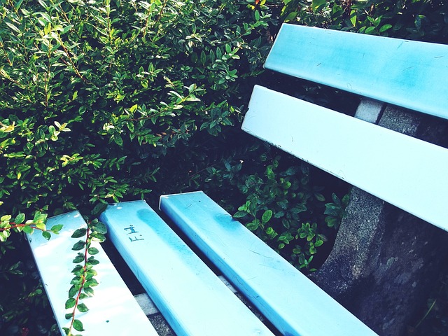 转会市场再 转会市场再