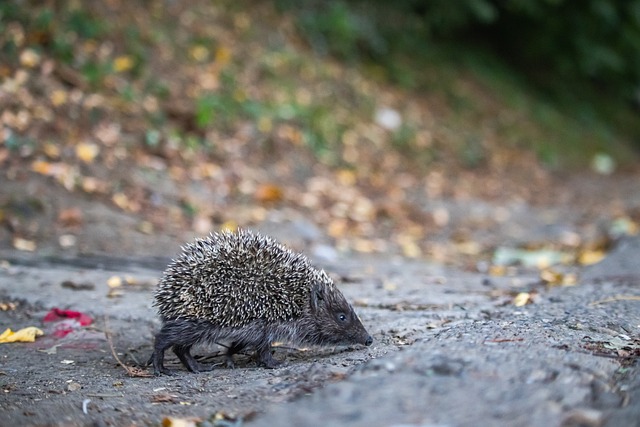 更高的目标 更高的目标