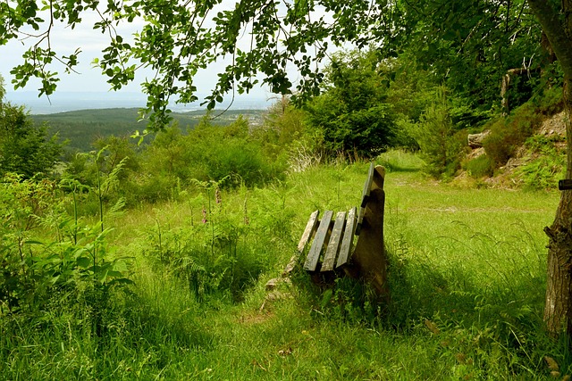 长的机会 长的机会