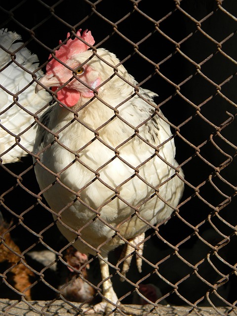 不仅造成了 不仅造成了